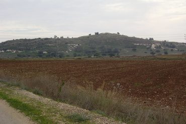 תל צפית. צילום: ד"ר אבישי טייכר